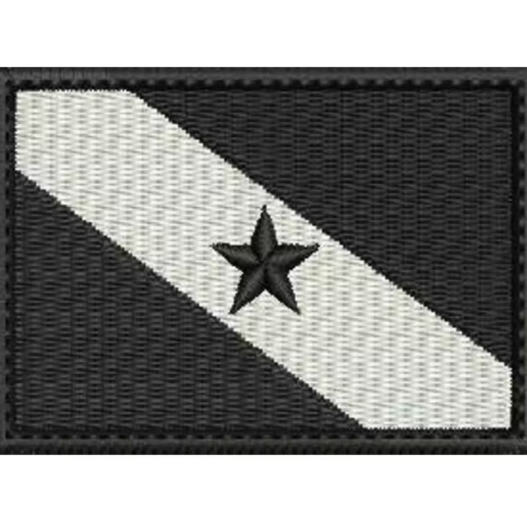 PATCH BANDEIRA PARÁ